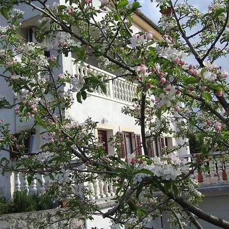 Andreja Daire Opatija