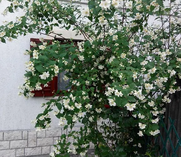 Apartman Andreja Opatija