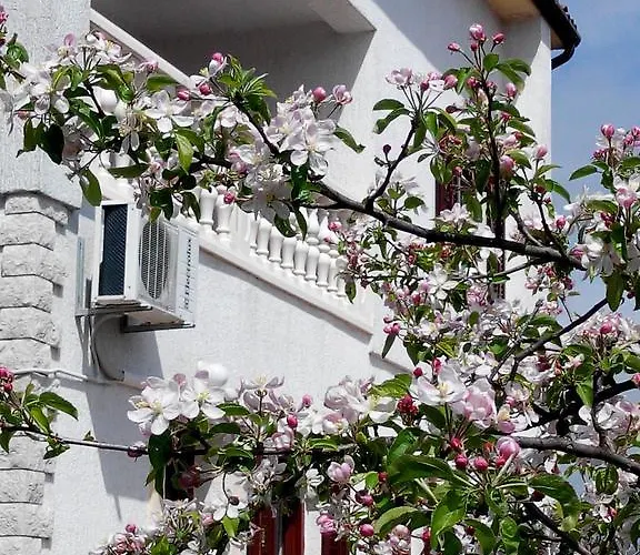 Apartment Andreja Opatija