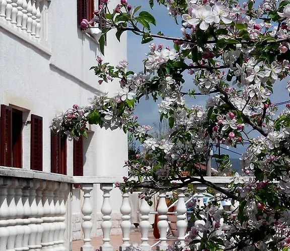 Apartment Andreja Opatija