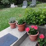 Andreja