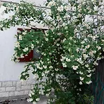 Apartman Andreja Opatija