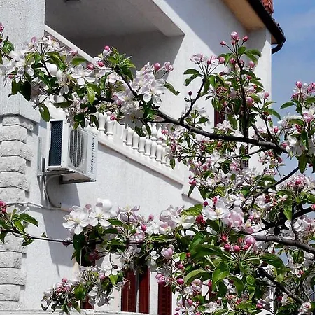 Apartman Andreja Abbázia